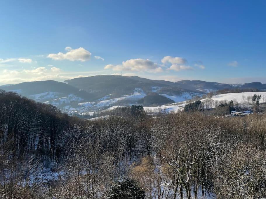 Traumhafter Blick Mit Wohnung Lindenfels Extérieur photo
